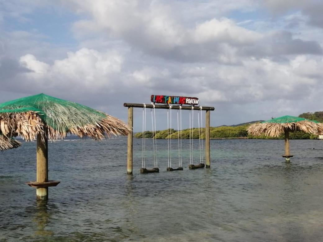 Las Palmas Beach Hotel Dixon Cove Экстерьер фото