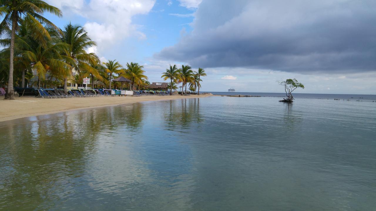 Las Palmas Beach Hotel Dixon Cove Экстерьер фото