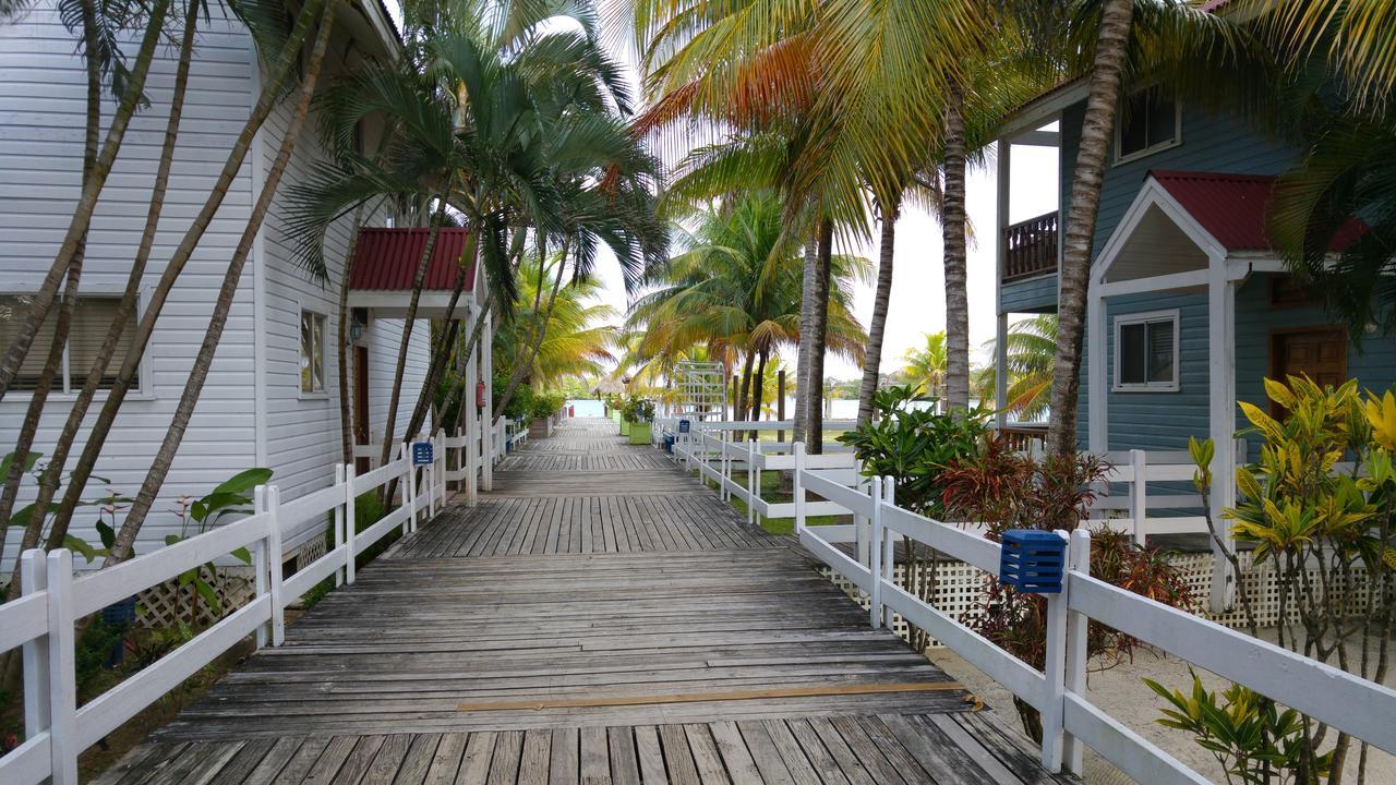 Las Palmas Beach Hotel Dixon Cove Экстерьер фото