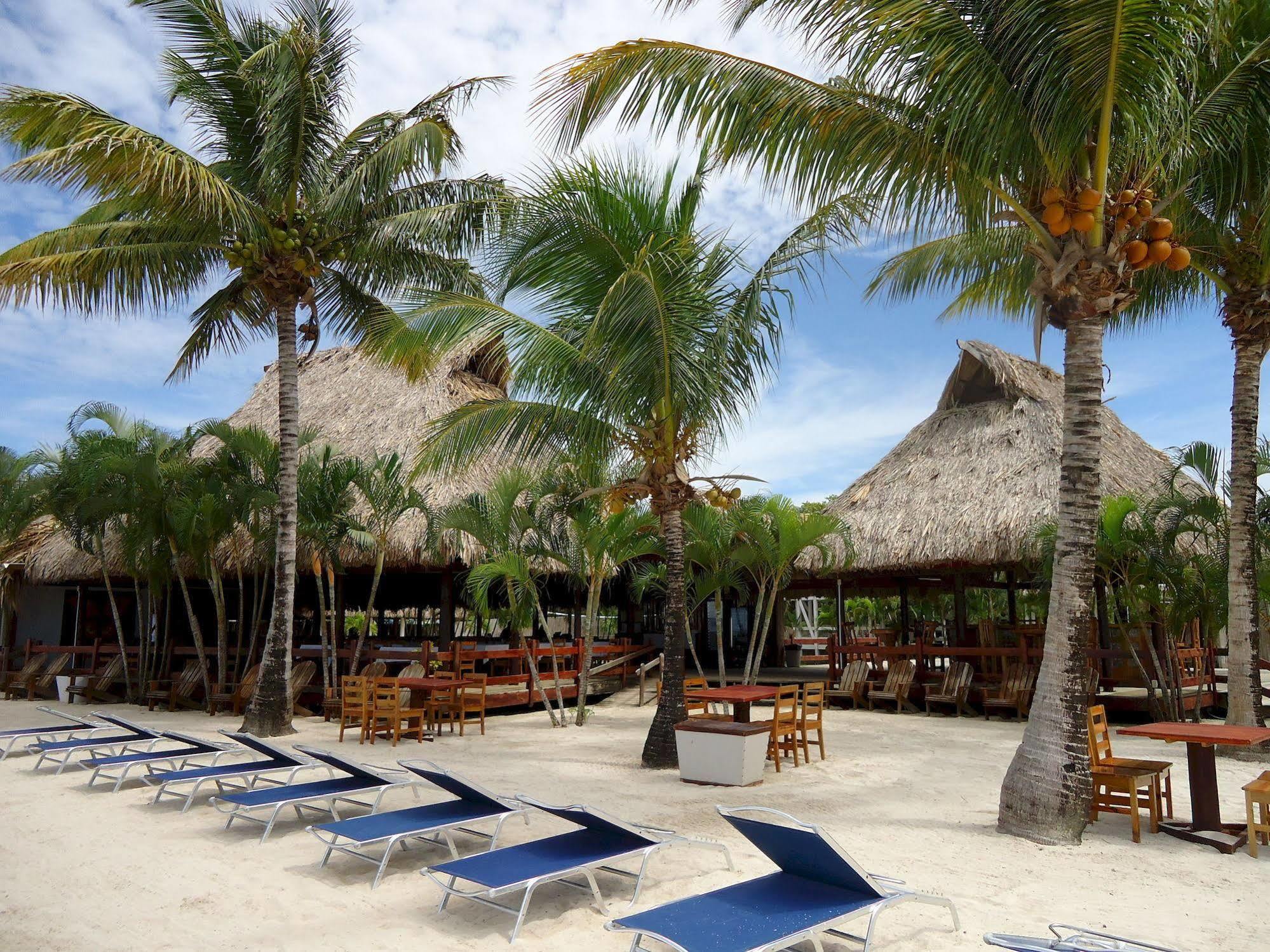 Las Palmas Beach Hotel Dixon Cove Экстерьер фото